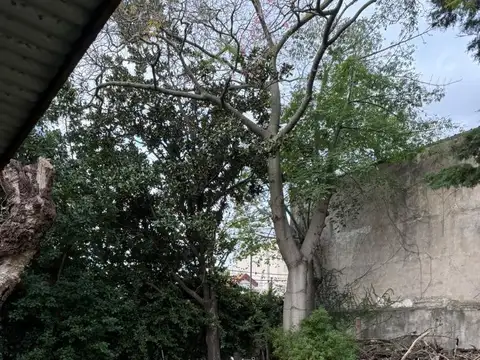 Terreno en Venta 17  mts Frente