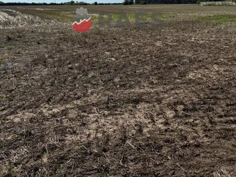 Aristobulo Del Valle 11000