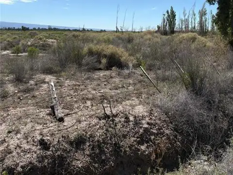 Terreno en Venta 39,25  mts Frente