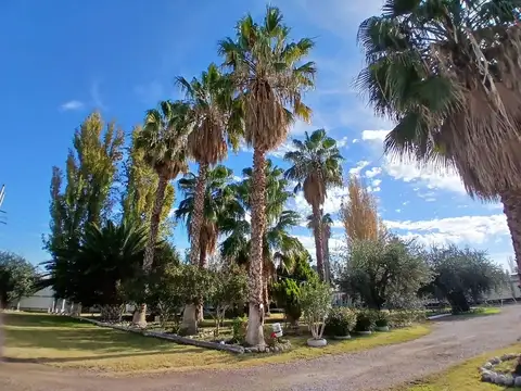 Casa con quincho, pileta y salón