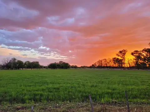 Casa Campo  en Venta en Pilar,  G.B.A. Zona Norte