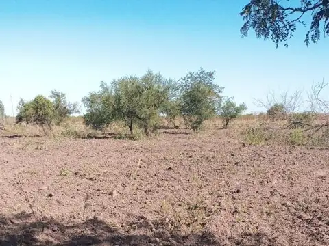 TERRENOS SOBRE AV CIRCUNVALACION
