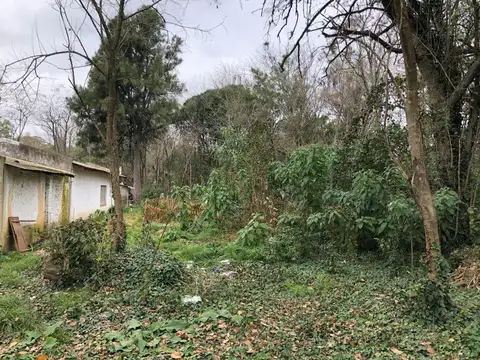 Terreno en venta - 10.066Mts2 - San Vicente