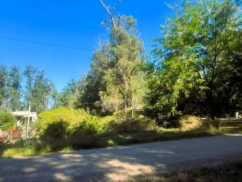 Terreno en Venta en Punta Ballena, USD 79.000