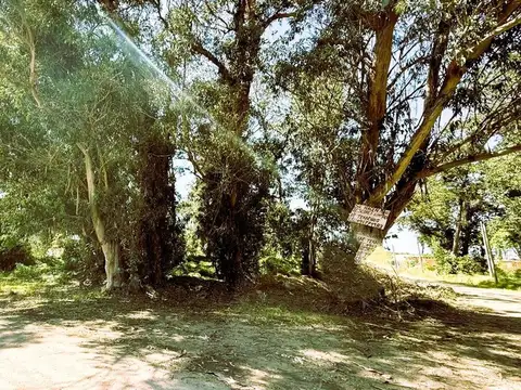 Terreno en Venta en Punta Ballena, USD 79.000