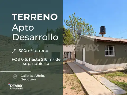 Venta lote apto a desarrollo 300 m2