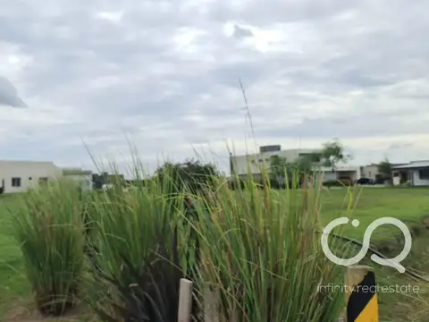 La Alameda etapa III