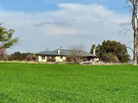Campo/ Chacra 19has Torres Lujan c Renta