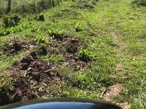 TERRENO EN VENTA EN MANZANARES