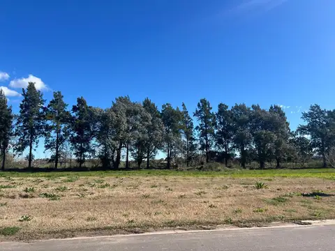 Terreno en Venta 30  mts Frente