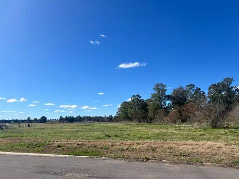 Terreno en Venta en Barrio Pinares, Exaltacion De La Cruz, Capilla Del Señor, GBA Norte