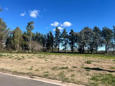 Terreno en Venta de 1502,0 m2