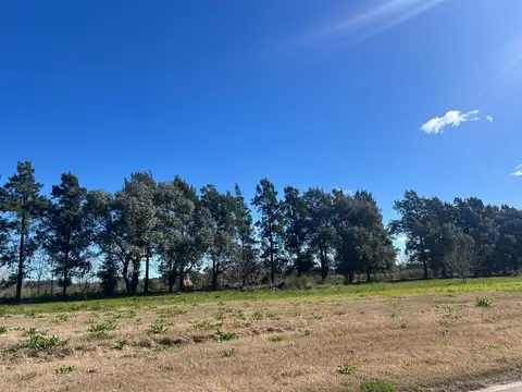 Terreno en Venta 50  mts Fondo