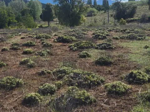 Campo en Venta Chacra