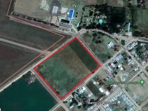 Maria Esther de Miguel y Juan Bautista Alberdi