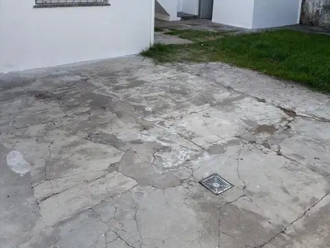 Maestro Vergara 800