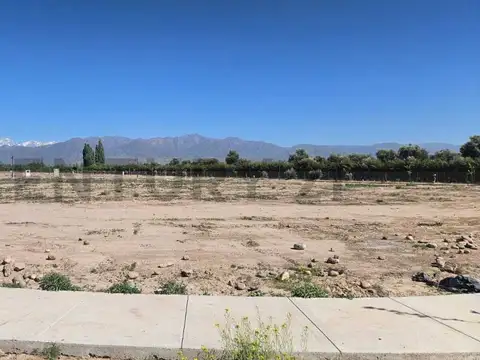 Terreno en Venta 26  mts Frente