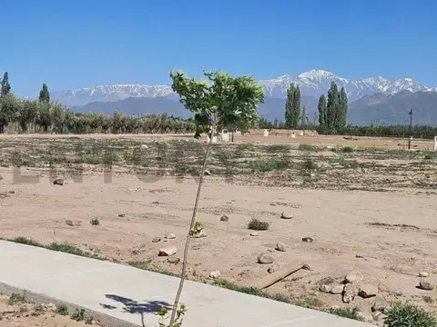 Terreno en Venta 25,37  mts Fondo