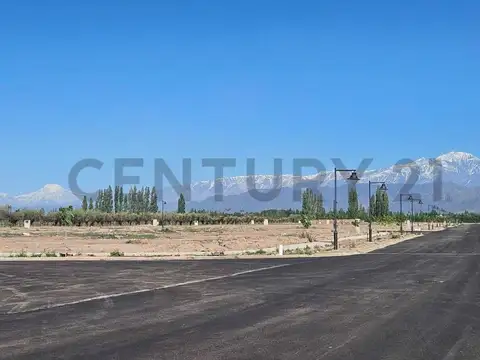 Terreno en Venta en Countries y Barrios Cerrados en Vistalba, USD 140.000