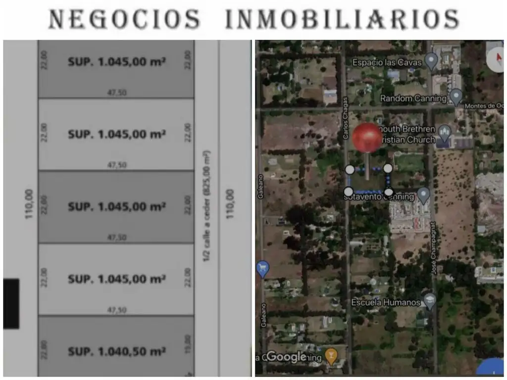 Carlos Chagas 4100