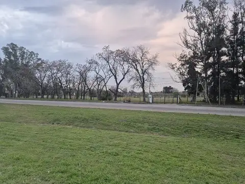 Colectora Panamericana 38,5