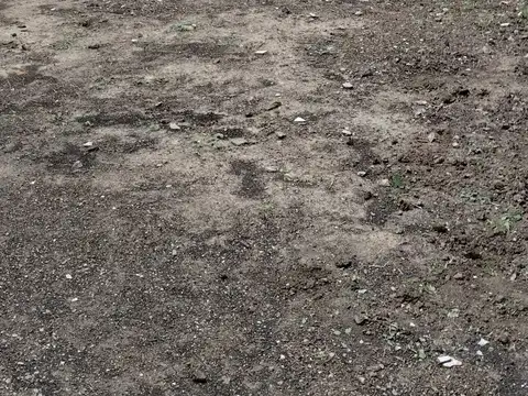 Ph de 2 ambientes a reciclar con pequeño fondo. Total 84 m2