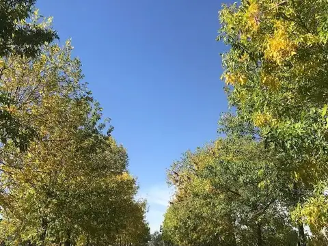 Terreno en Venta de 10000,0 m2