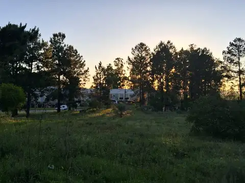 Terreno en Alquiler en Concordia, USD 120.000
