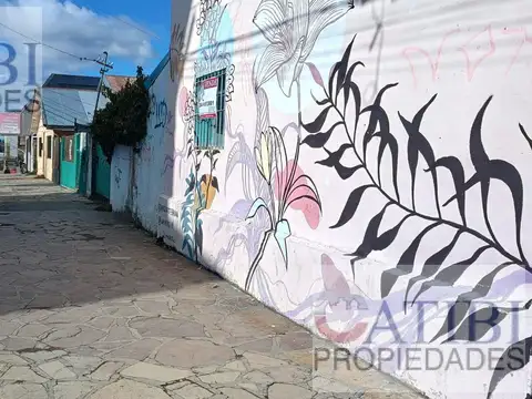 Terreno en Venta 40  mts Fondo