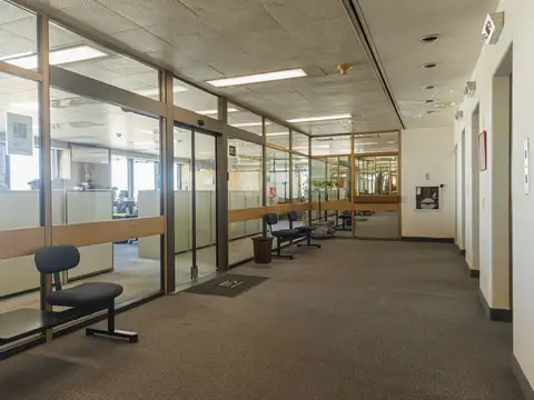 Esmeralda 100, Piso 15