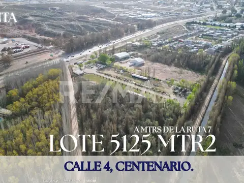LOTE 5125 MTR2 EN VENTA EN CALLE 4, CENTENARIO