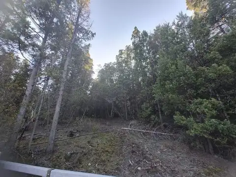 SE VENDE HERMOSO CAMPO