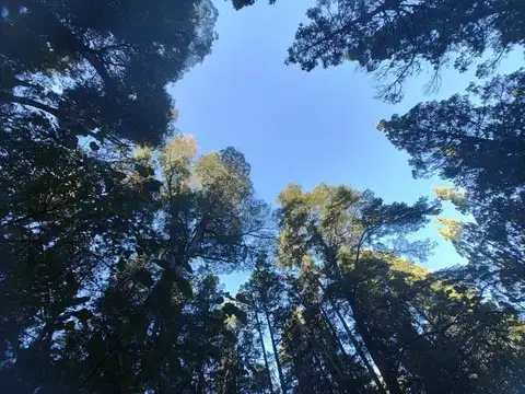SE VENDE HERMOSO CAMPO