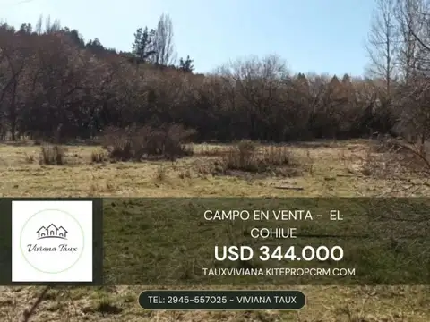 Campo en Venta en Epuyen, Cushamen