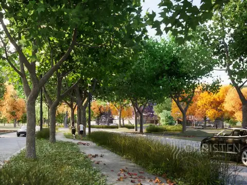 Terreno en Venta 31  mts Fondo