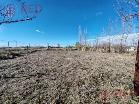 Las Lagunas Plottier 1