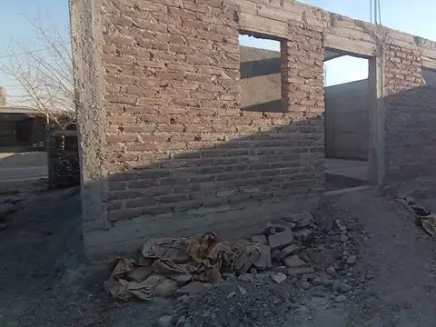 grifoulier 100