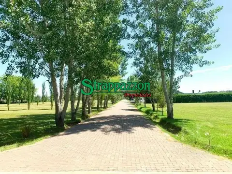 Terreno en Venta en Pila, USD 26.000