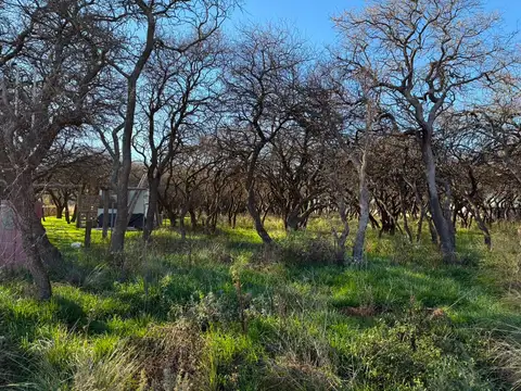 Lote 15 Mza 14 - Loteo Don Adolfo - Ataliva Roca