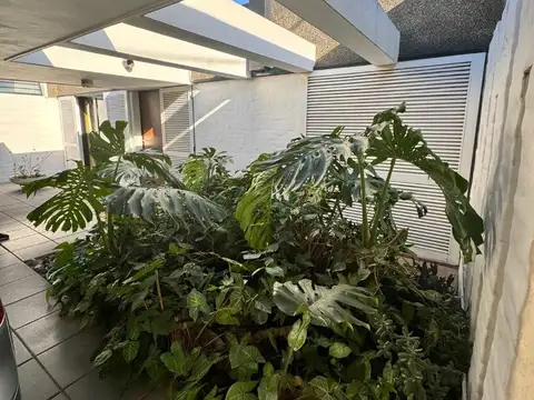 Ing. Juan Manuel López 1479