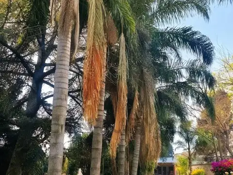 VENTA CASA Quinta en Centro Los Cardales | Calidad Premium, Piscina y Todos los Servicios