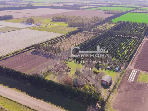 camino secundario 099-04 100