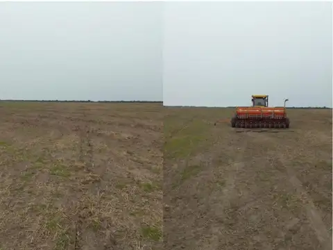 Campo 2250 hect Mixto Arrocero Perugorria Corrientes