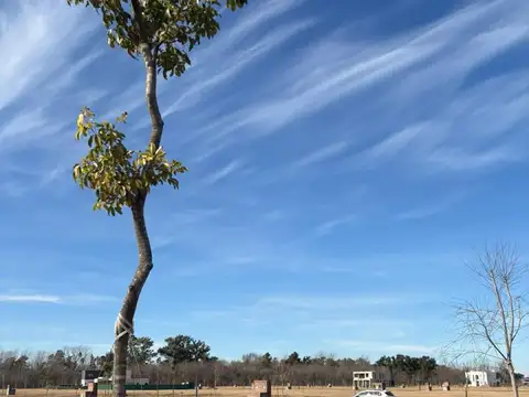 Terreno en Nativas