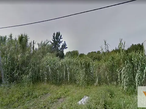 Terreno en Venta en Ranelagh, USD 75.000