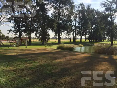 Terreno en Venta 41  mts Fondo