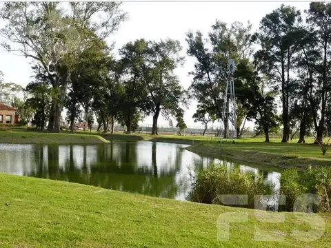 Terreno en Venta de 1057,0 m2