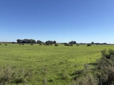 Campo en gualeguaychu
