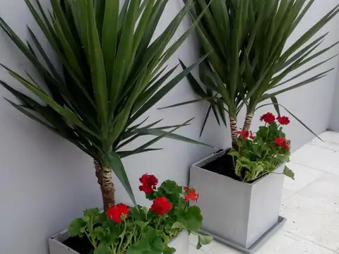 Departamento en Alquiler 7 años