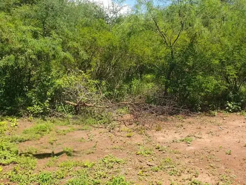 CAMPO VENTA CORONEL MOLDES